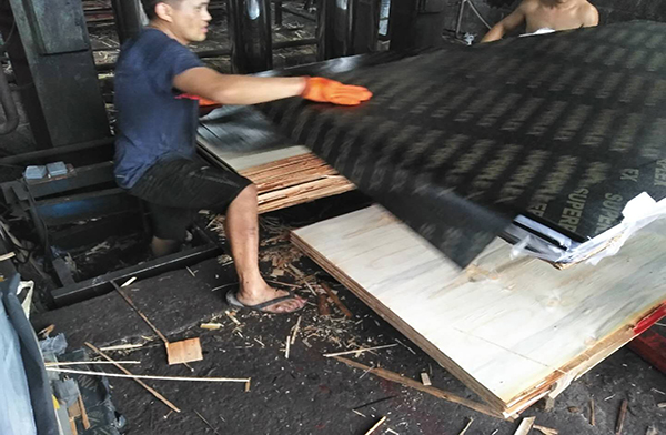 建筑模板贴覆膜纸